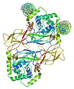 Molecular component19.jpg